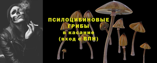 a pvp Аркадак